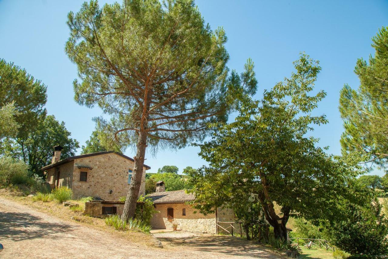 Апартаменти Agriturismo Bio Tra Cielo E Terra Grutti Екстер'єр фото